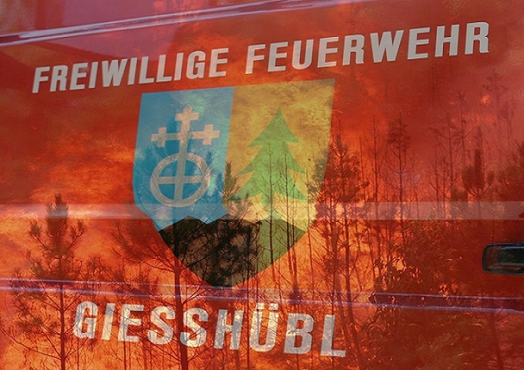 ffg brand symbol